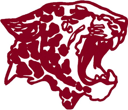 Lafayette Leopards 1986-1999 Primary Logo diy fabric transfer